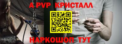 бошки Кингисепп