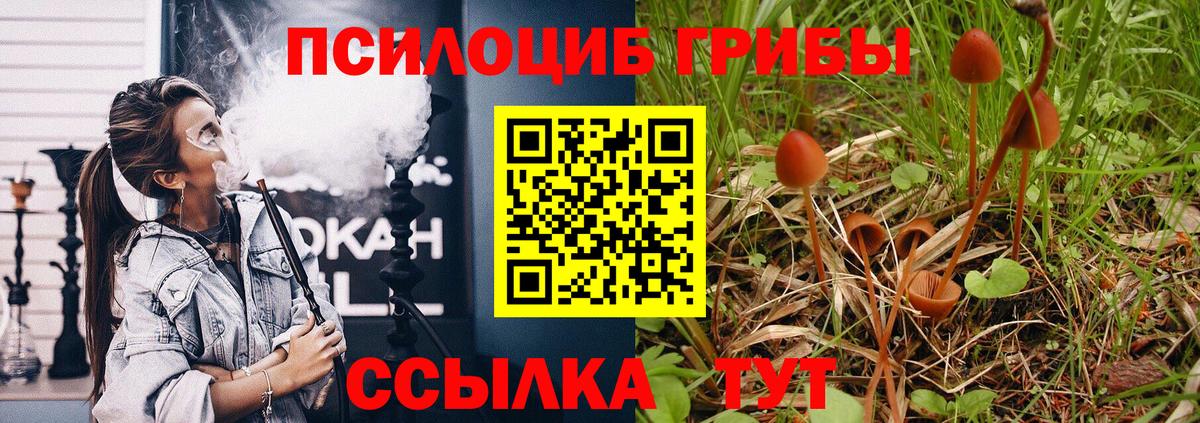 Кизляр  Галлюциногенные грибы мицелий  Вход с VPN 