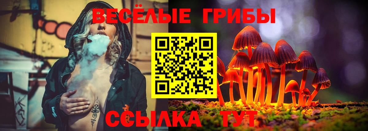 Псилоцибиновые грибы Psilocybe  Кизляр 