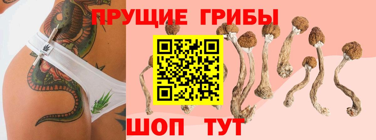 Галлюциногенные грибы ЛСД Кизляр
